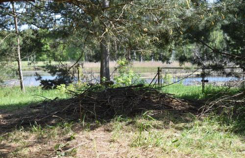 Newland Wójtowicz - Foto 56