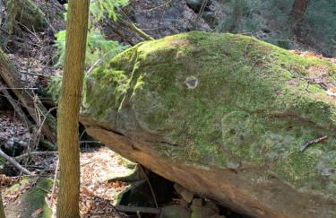 Apartment #3Panoramablick - Foto 33