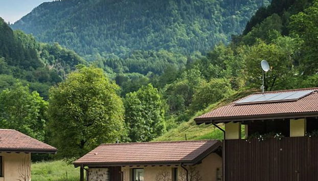 Quader nidi nel verde - Foto 2, Profilbild