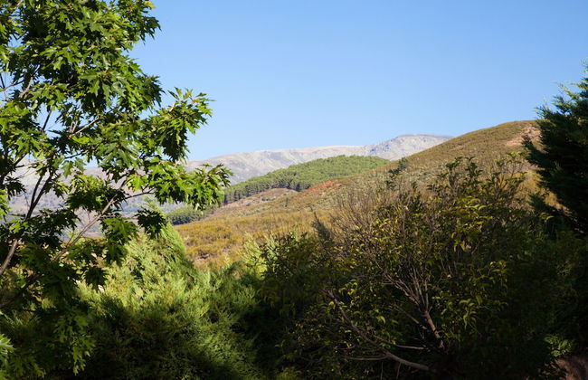 Finca La Sayuela - Foto 61