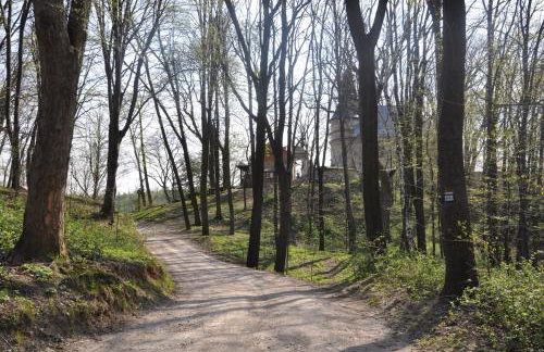 Grodzisko11 - Photo 18