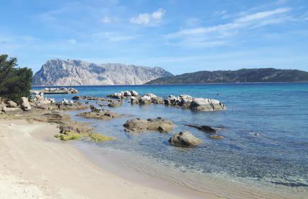 Il Glicine - Foto 25