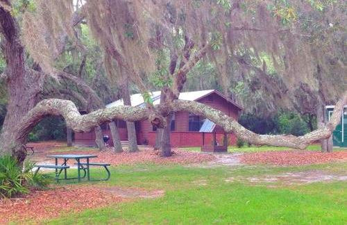 Lakefront Weekend Getaway with a Private Dock near the Ocala National Forest, Florida - Foto 16