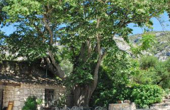 Bastide De La Lézardière - Foto 34