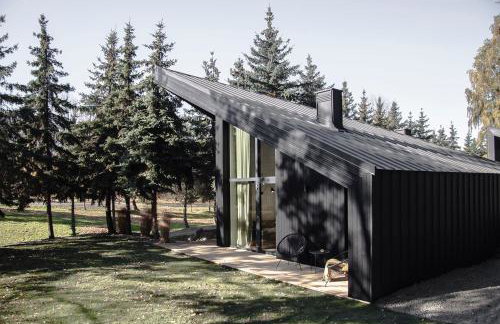 Domki MODERN Jezioro Nyskie - Foto 27