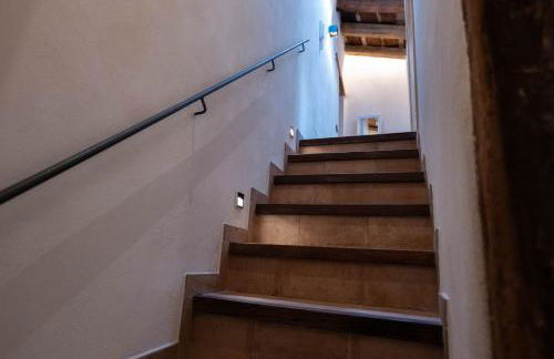 Niu de Queralt - Photo 16