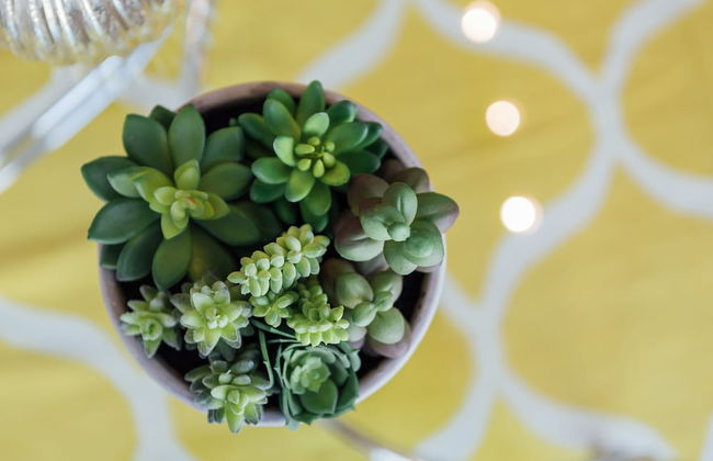 QuickStay - Luxury on Bay St. (Yonge & College) - Foto 44