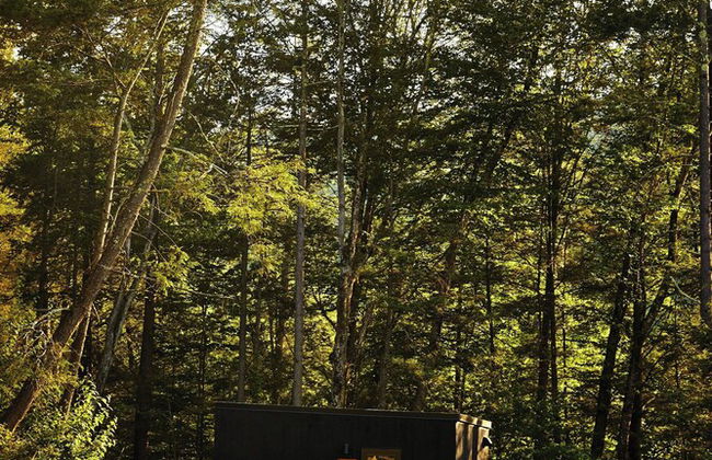 Postcard Cabins Western Catskills, Outdoor Collection by Marriott Bonvoy - Foto 32
