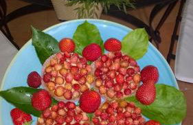 Vicolo 23 House - Photo 48