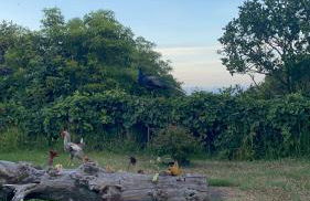 Quinta das Almas - Photo 27