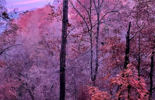 Secluded Riverfront Cabin with Bluff Views, Gated Privacy & Scenic Trail Access in Tahlequah, Oklahoma - Foto 74