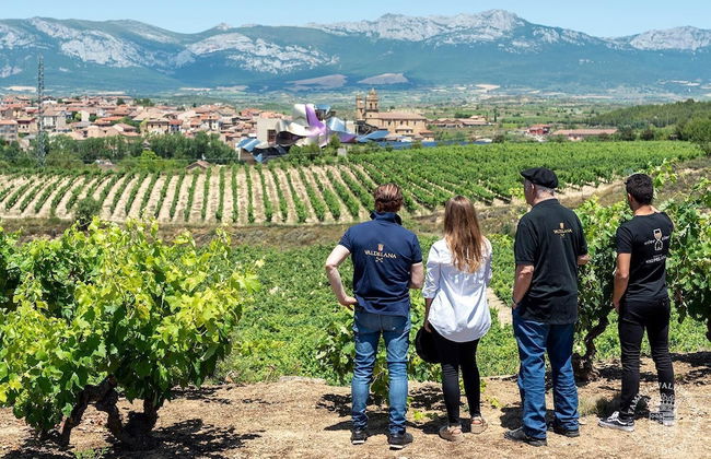 Agroturismo Valdelana - Foto 51