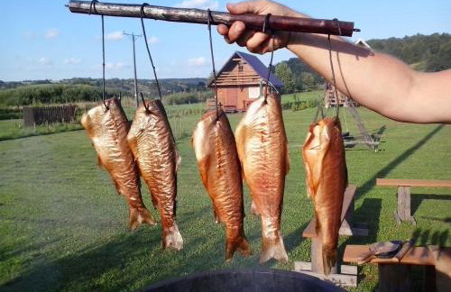 Domki w Bieszczadach - Foto 35