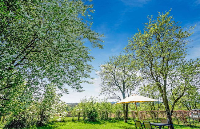 Holiday Home in Porcheresse Daverdisse - Photo 34