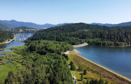 Forest Fairy - Foto 35