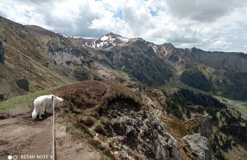 Chalet des fontaines claires - Foto 43