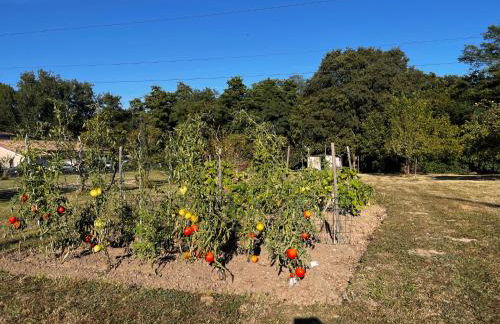 Maison de vacances 6 personnes près de Bordeaux Green Escape - Foto 15