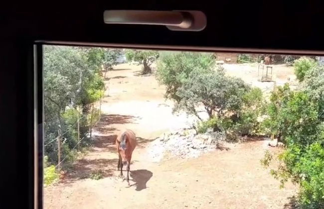 Tiny House Loulé Algarve no1 - Foto 22