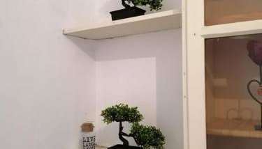 SOFIAS APARTMENTS in LESVOS - Photo 2