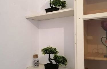 SOFIAS APARTMENTS in LESVOS - Photo 2