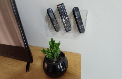 Casa Amora - 2 Quartos - Foto 4