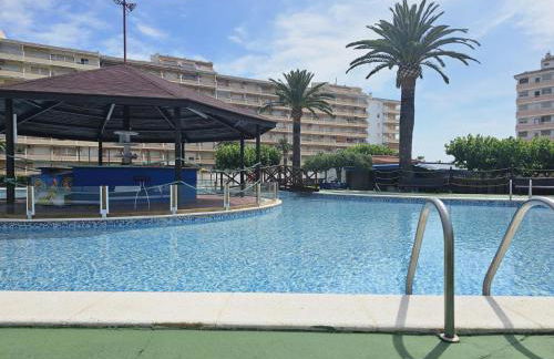 Penismar Paradis - Foto 29