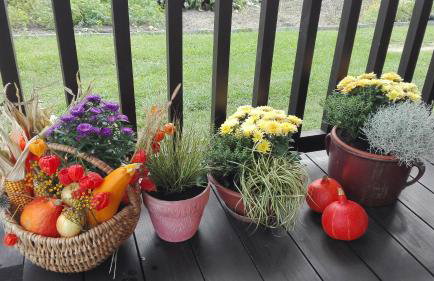 Dom w spokojnej okolicy - Foto 20