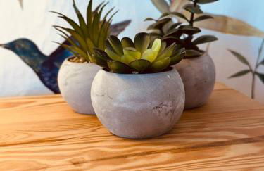 Agrotur Fenix - Foto 15