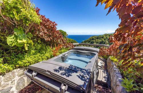 Cliff House with Ocean Views in Haiku, Maui jungle - Foto 19