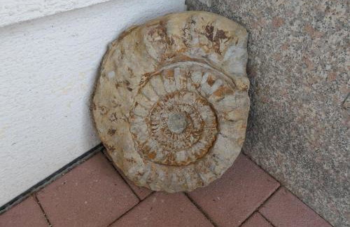 Ferienwohnung Schneckenhaus - Foto 20