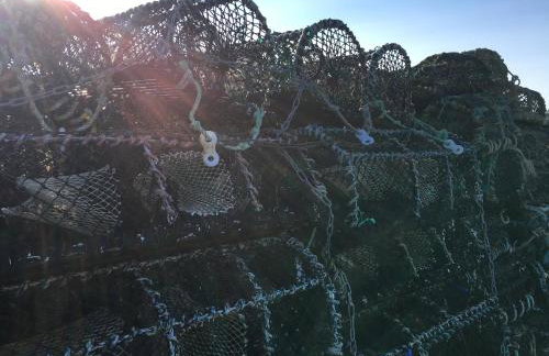 Fairfield Apartment - Foto 21