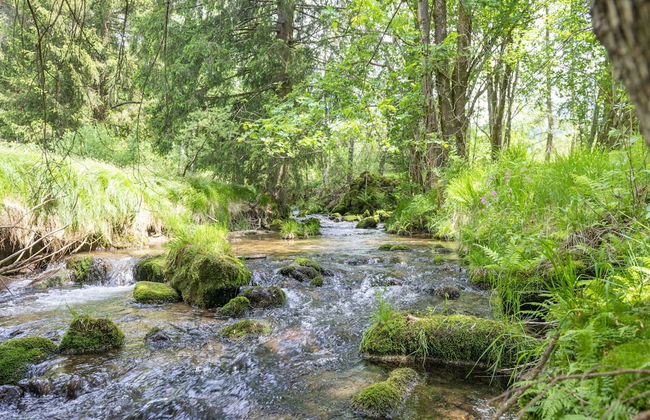 Chalet Schwarzenberg Near Ski Lift & Stream - Foto 18
