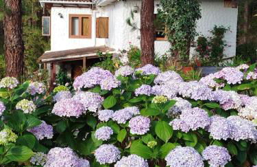 Floral garden house - Foto 1