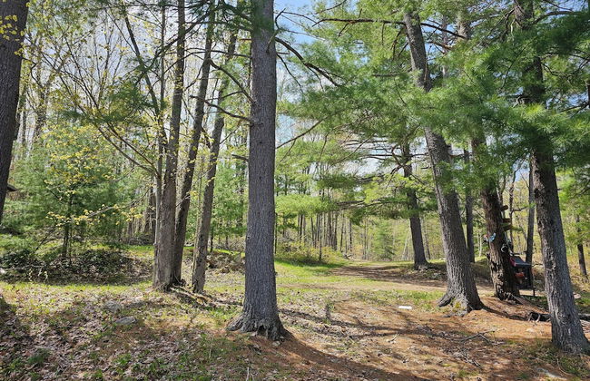 Mazinaw Lakeside RV Park & Campground - Foto 21