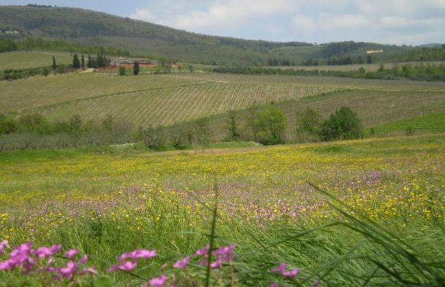 Modern Apartment in Agliana With Shared Garden - Foto 41