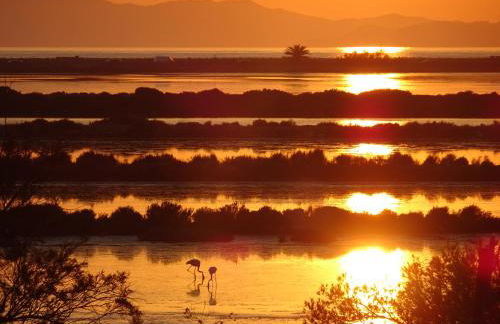 Le Club des Cigales - Foto 72