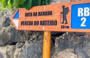 The Palms Apartment - Sun & Sea Madeira - Foto 38