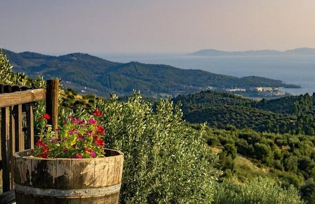 Halkidiki: Sithonia - Full-Day Private Tour - Photo 3