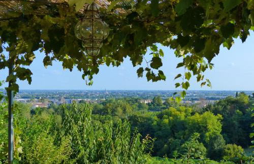 Podere di Costabella - Foto 14