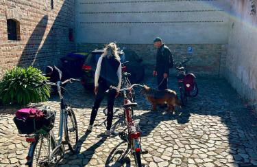 Falkenwohnung - Foto 27