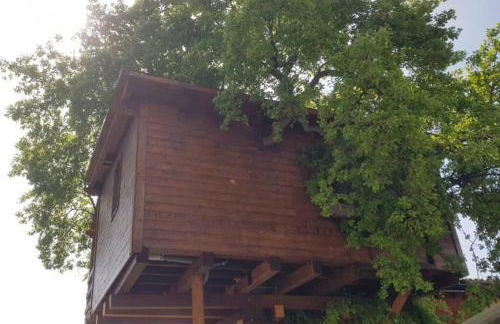 Casa sull'Albero Treehouse Costa dei Trabocchi - Foto 38