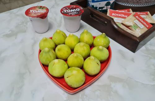 Villa Fede&Edo - Foto 26