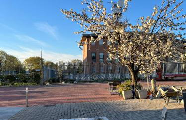 Villa Ibra - Foto 19