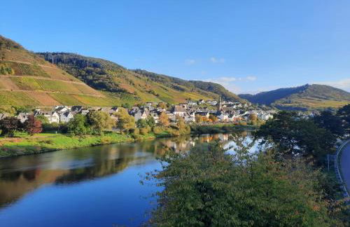 Winzerhaus Schenk - Photo 8