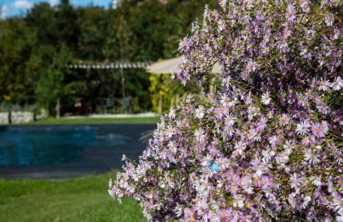 ROSTAGNI 1834 apt with pool in the Barolo region - Foto 54