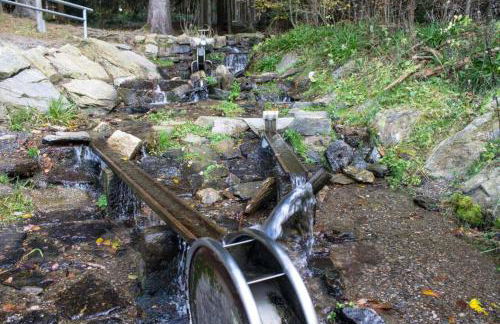 Erzgebirgsidyll Breitenbrunn - Waldhaus - Foto 50