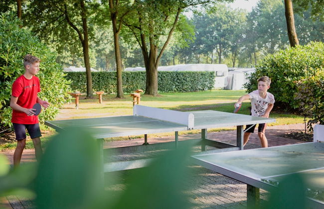 Cozy Tiny House With a Nice Terrace Near Eindhoven - Foto 21