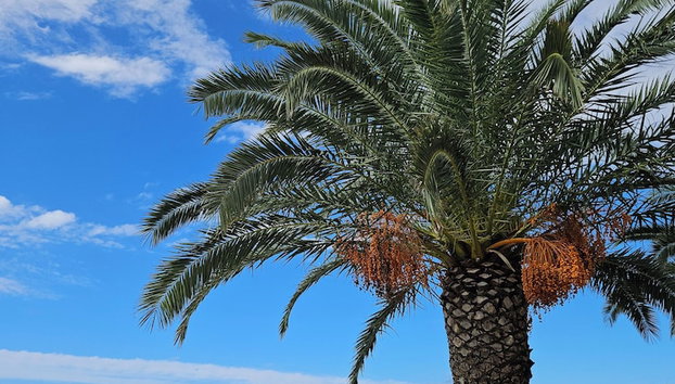 Kristal Paris Resort - Foto 2, Imagen principal