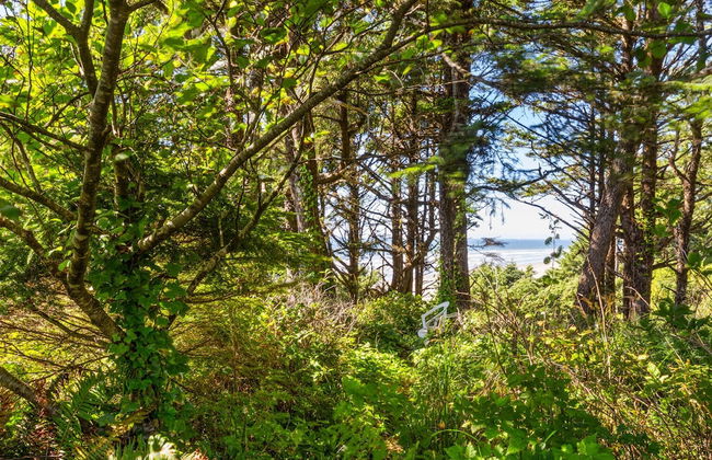 Sandcastle Bluff in Moclips - Foto 55