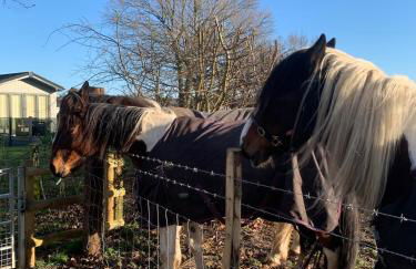 Lovely Serenity 1 and gorgeous Serenity 2 are 3 bedroom 2 bathroom caravans - Foto 33